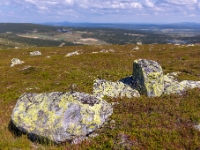 Nevelfjell